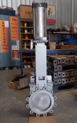 WhatsApp Image 2025-04-21 at 10.43.47_79a4bf85