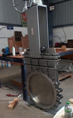 WhatsApp Image 2025-04-21 at 10.47.40_da1e156f