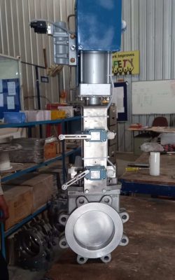 WhatsApp Image 2025-05-24 at 10.11.37 AM