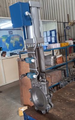 WhatsApp Image 2025-05-24 at 10.11.39 AM