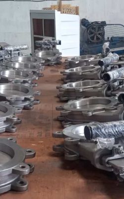 WhatsApp Image 2025-06-05 at 5.24.06 PM