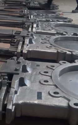 WhatsApp Image 2025-06-05 at 5.24.08 PM