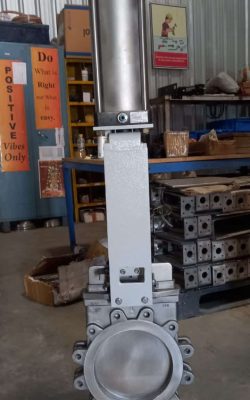 WhatsApp Image 2025-06-05 at 5.31.02 PM (1)