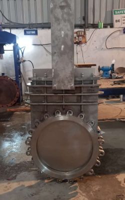 WhatsApp Image 2025-06-05 at 5.31.02 PM