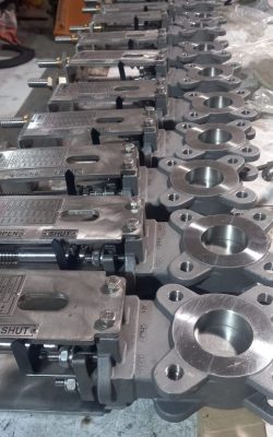 WhatsApp Image 2025-06-05 at 5.33.29 PM