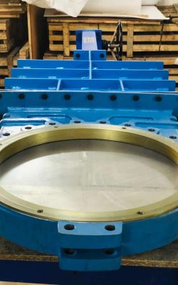 WhatsApp Image 2025-06-05 at 5.34.26 PM