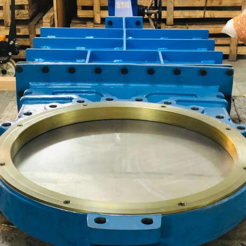 WhatsApp Image 2025-06-05 at 5.34.26 PM